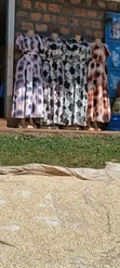 Style Lady Dress - 2