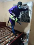 Huduma za Fumigation ya Gesi na Udhibiti wa Wadudu na Zari Cleaning - 2