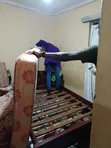 Huduma za Fumigation ya Gesi na Udhibiti wa Wadudu na Zari Cleaning - 3
