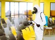 Huduma za Fumigation ya Gesi na Udhibiti wa Wadudu na Zari Cleaning - 5