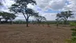 Prime 3-Acre Land for Sale in Rimpa - 1