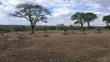 Prime 3-Acre Land for Sale in Rimpa - 2