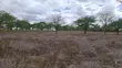 Prime 3-Acre Land for Sale in Rimpa - 3