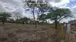 Prime 3-Acre Land for Sale in Rimpa - 5