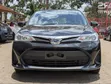 Toyota Corolla Fielder 1.5 Hybrid FWD 2020 - 1