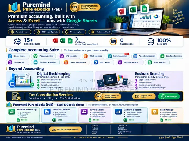 Custom-Made Accounting Software (Google Sheets/Excel) - 1