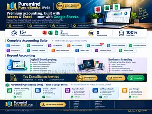 Custom-Made Accounting Software (Google Sheets/Excel)