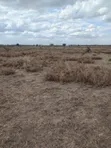 Viwanja vya 50x100 Kitengela Vinauzwa - 2