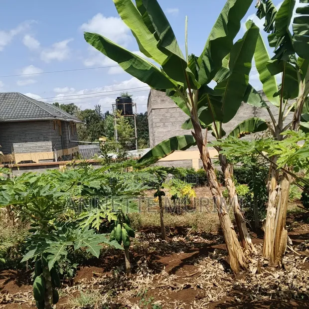 Land for Sale in Kirinyaga - 1