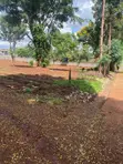 Kiwanja Bora cha 1/8 Acre kwa Uuzaji - Kamiti Ridge Estate - 3