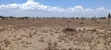 Viwanja Bora Mwalimu Farm, Ruiru Kamakis - 1