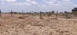 Viwanja Bora Mwalimu Farm, Ruiru Kamakis - 2