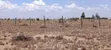 Viwanja Bora Mwalimu Farm, Ruiru Kamakis - 4
