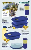 Microsave & Fridgemate Food Storage Containers - 1