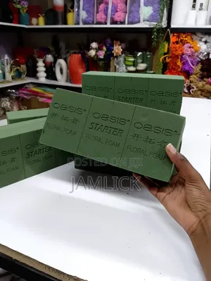 10pcs Oasis Floral Foam