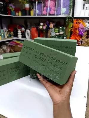 10 Vipande vya Oasis Floral Foam
