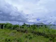 Prime 50x100 Residential Plot for Sale in Kitengela - 2