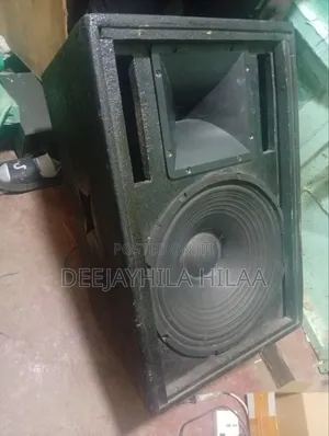 Martin Audio 15" Speaker