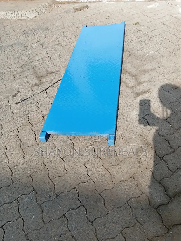 Scaffold Platform - 1