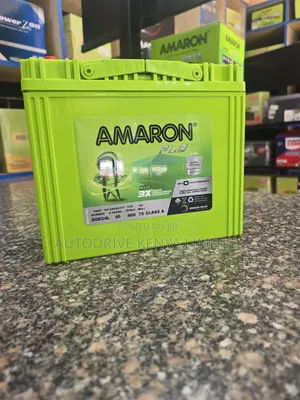 Amaron FLO NS60L Car Battery