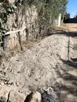 Mbolea ya Kinyesi cha Kuku - 1