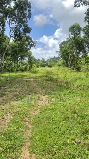 Vipande Bora vya 50x100 Mtwapa