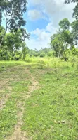 Vipande Bora vya 50x100 Mtwapa - 2