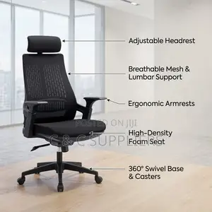 Ergonomic Computer Chair - Lama