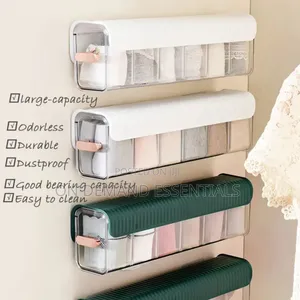 Wall Mounted Undergarment Organizer