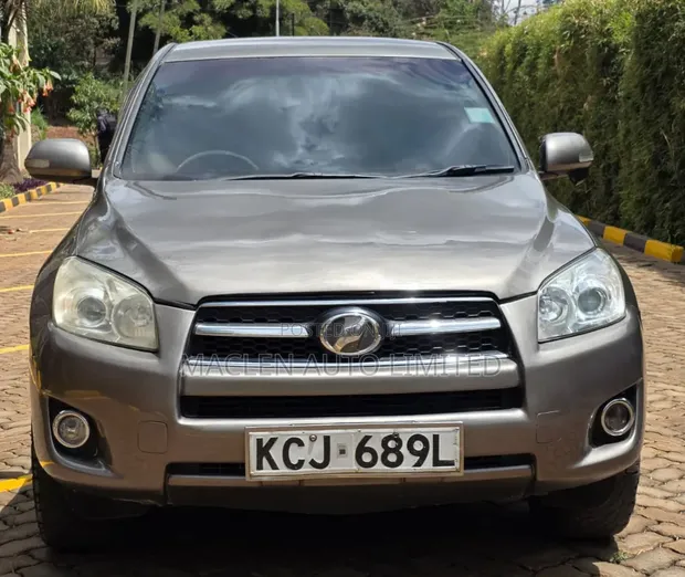 Toyota RAV4 2009 Gray - 1