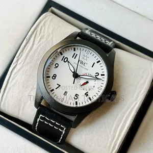 IWC Schaffhausen Watch ya Quartz kwa Wanaume