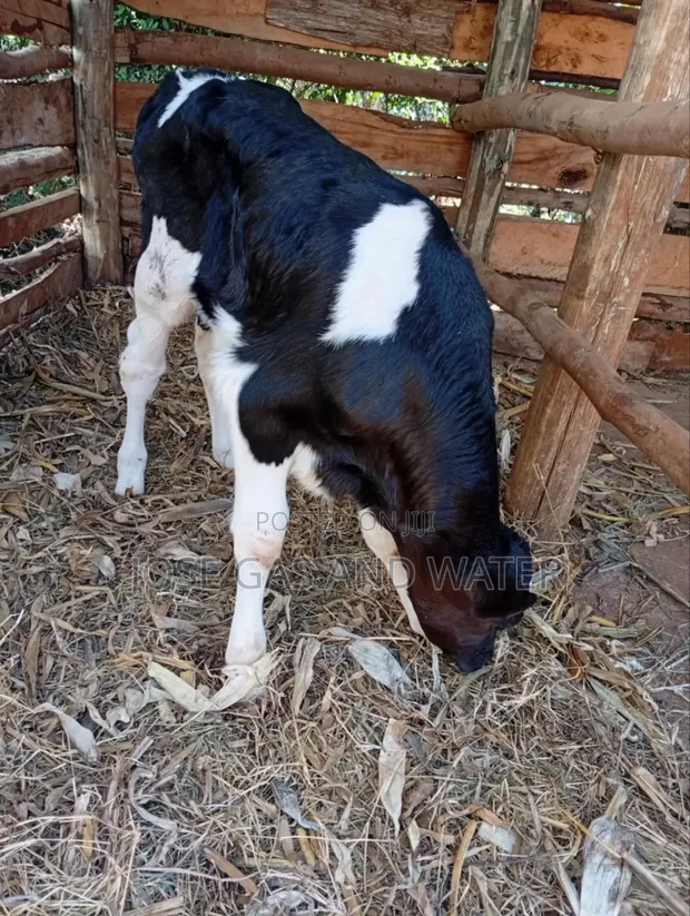 Ngozi ya Kukuza kwa Mauzo - 1