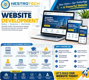 Professional Website Development by Nestrotech Limited