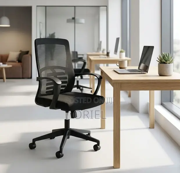 Kiti cha Ofisi cha Ergonomic Executive Mid-Back - 1