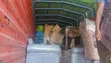 Aslam Movers: Huduma za Kuhamisha Wataalamu Nairobi & Kenya - 3