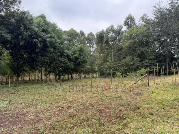 One Eighth Plots for Sale in Ngong - Bondeni - 1