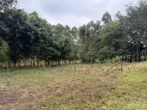 Vipande vya Nane Moja kwa Uuzaji Ngong - Bondeni