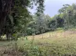 Vipande vya Nane Moja kwa Uuzaji Ngong - Bondeni - 2