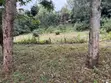 Vipande vya Nane Moja kwa Uuzaji Ngong - Bondeni - 4
