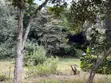 Vipande vya Nane Moja kwa Uuzaji Ngong - Bondeni - 5