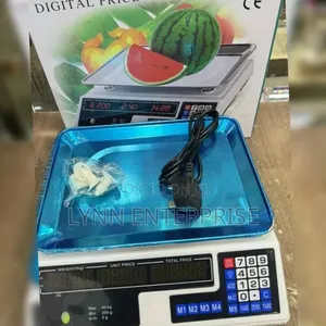 ACS 40 Digital Armless Scale