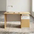1200mm Manager's Office Desk - 2