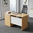 1200mm Manager's Office Desk - 3