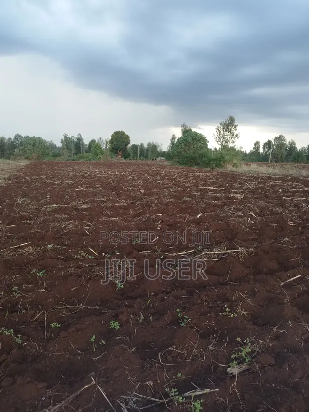 Prime Residential 1/4 Acre Plot in Kimicha, Kirinyaga Central - 1