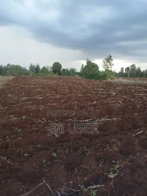 Kitalu Bora cha Makazi cha 1/4 Acre huko Kimicha, Kirinyaga Central