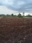 Kitalu Bora cha Makazi cha 1/4 Acre huko Kimicha, Kirinyaga Central - 1