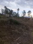 Kitalu Bora cha Makazi cha 1/4 Acre huko Kimicha, Kirinyaga Central - 2