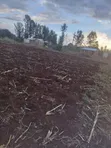 Kitalu Bora cha Makazi cha 1/4 Acre huko Kimicha, Kirinyaga Central - 3