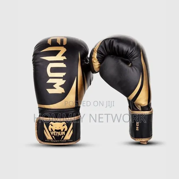 Boxing Gloves Pair 12oz - 1