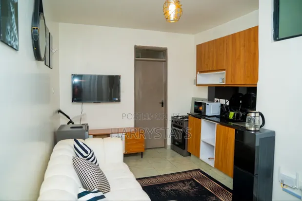 Furnished 1 Bedroom Apartment in Royal Syrbubs Tsavo, Roysambu for Rent - 1